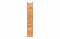 1545 Торцевая заглушка для цоколя ПВХ, L=4000, орех Триесте