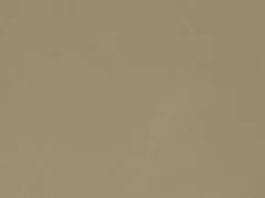 Стеновая панель ALPHALUX Бежевая дымка F.0717, МДФ 4200*7*600мм.