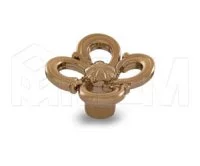 Ручка-кнопка золото темное: WPO.636.031.00G3