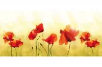 Стеновая панель Маки, 1200х540х6мм, стекло