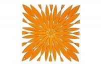 Комплект декоративных панелей DAISY 254х254мм (6 штук), отделка оранжевая