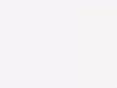 Плита AGT МДФ 1220*18*2800 мм, односторонняя, суперматовый белый 734