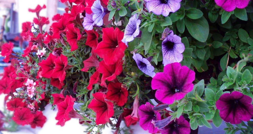 График работы на 8 марта