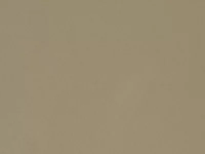 Стеновая панель ALPHALUX Бежевая дымка F.0717, МДФ 4200*7*600мм.