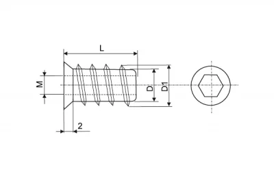 Бусола М6 потай, d=10, L=20, отделка цинк (за 100 штук)