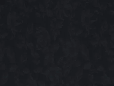 Фасад мебельный МДФ AGT глянцевый черные цветы 629