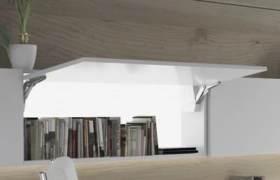 Подъемник ФРИИ-Флеп-Мини, 107 гр., серии С (компл.)