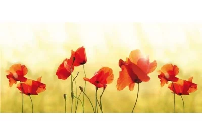 Стеновая панель Маки, 1200х540х6мм, стекло