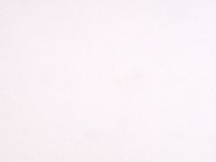 Бортик пристеночный овальный, Белый лёд, 34*29 мм, L=4.2м